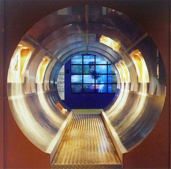 Ecomed展會設計！