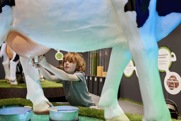 奶酪體驗中心展廳設計