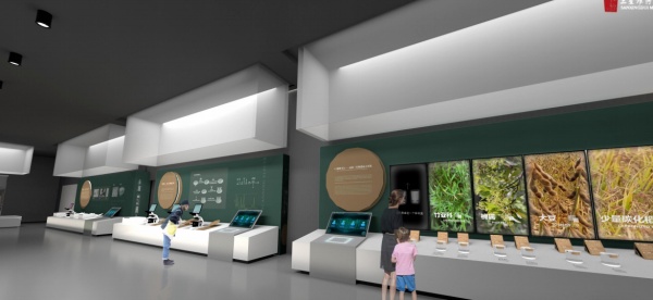 三星堆古蜀文化遺址博物館基本陳列設計