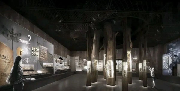 化石王國——熱河生物群展廳設計